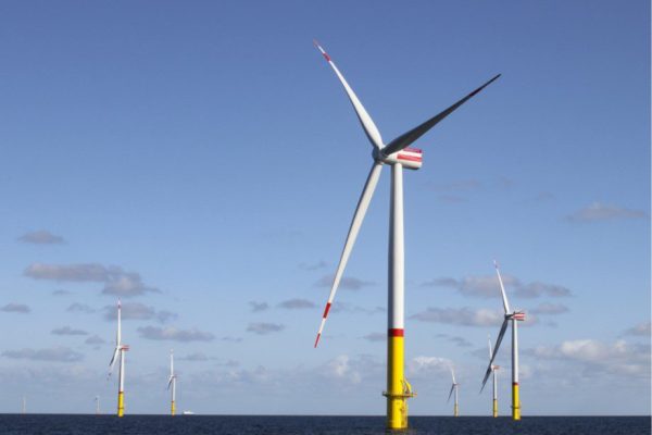 17 States Sue Trump Over Halt to Wind Energy Projects